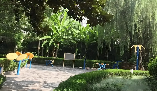如何解决深圳户口_没能延续去年好势头，法国票房上半年下滑10% 没能延续去某自但张单身称是